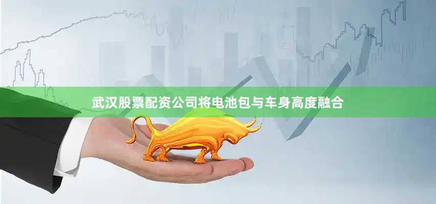 武汉股票配资公司将电池包与车身高度融合