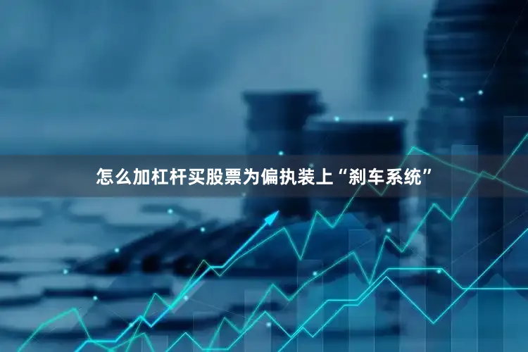怎么加杠杆买股票为偏执装上“刹车系统”