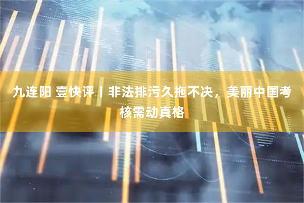 九连阳 壹快评丨非法排污久拖不决，美丽中国考核需动真格