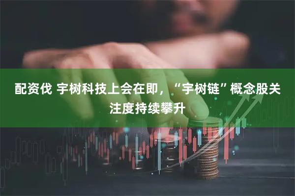 配资伐 宇树科技上会在即，“宇树链”概念股关注度持续攀升
